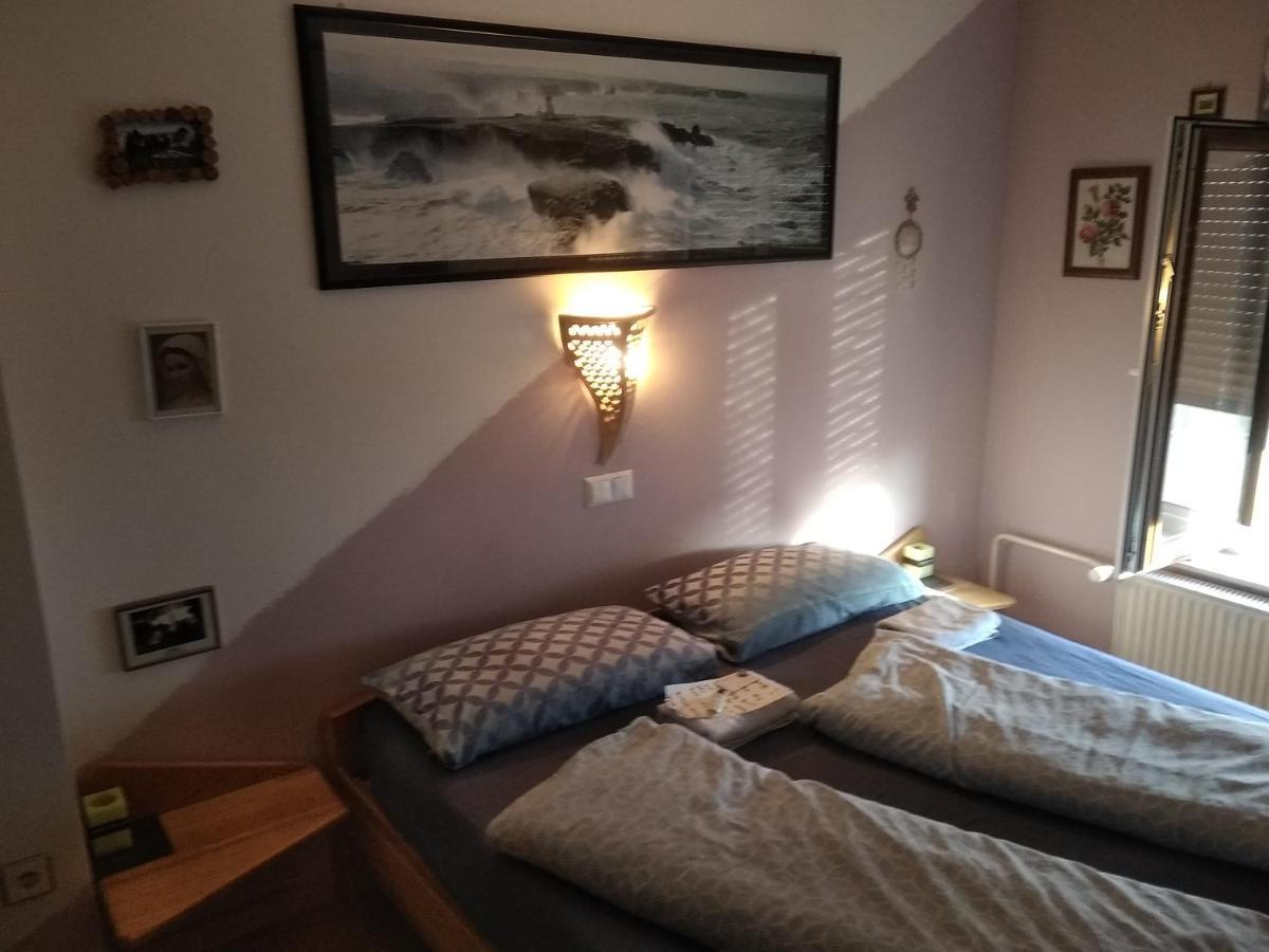 Michoart Apartman Ljubljana Kültér fotó